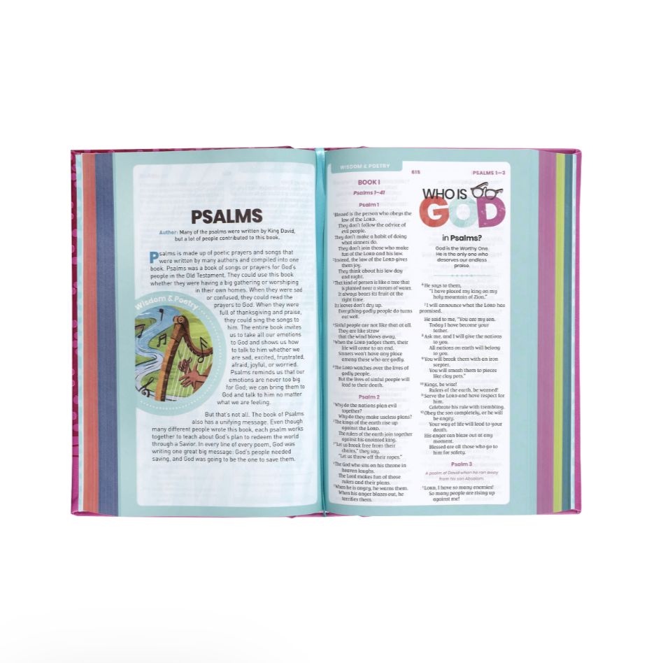 Nirv Tiny Theologians Bible, Leathersoft Over Board, Pink