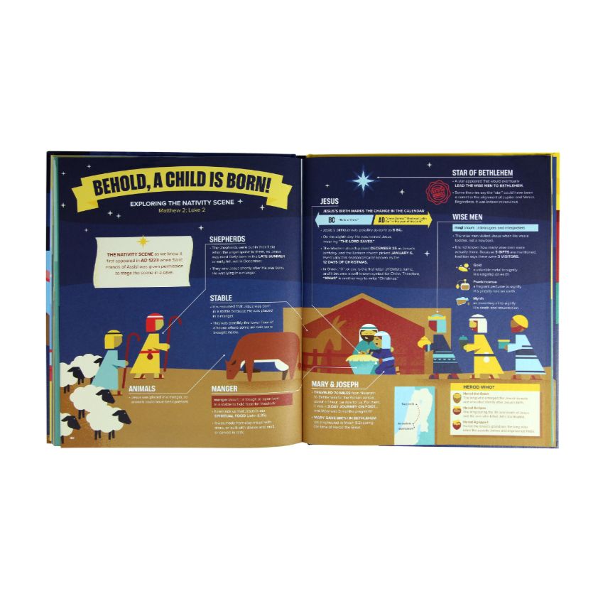 Bible Infographics For Kids: Giants, Ninja Skills, a Talking Donkey, and What's the Deal With the Tabernacle? (Vol 1)