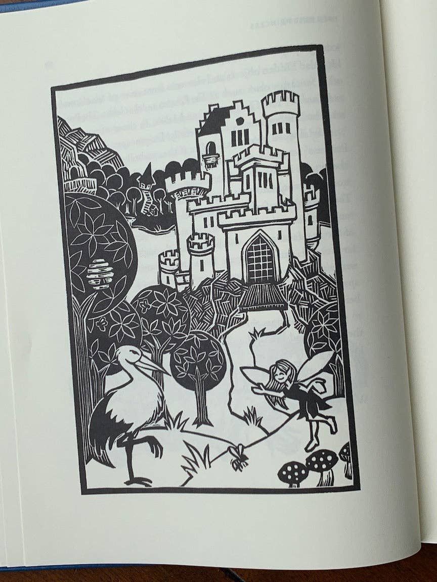 The Light Princess (Hardback)