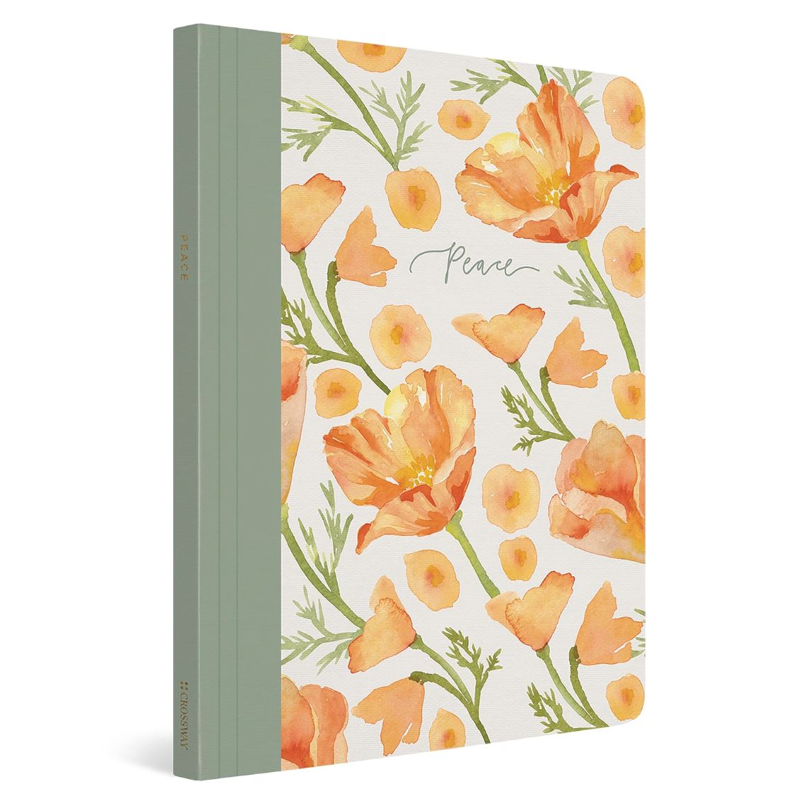 ESV Prayer Journal: 30 Days on Peace (Paperback)