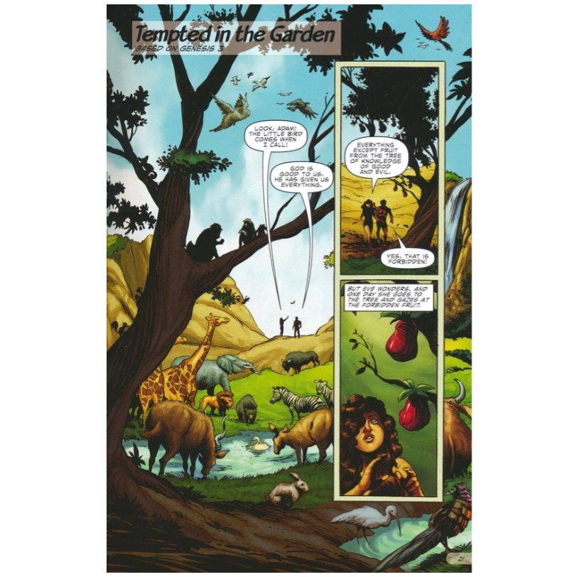 Action Bible (Expanded Edition) God's Redemptive Story