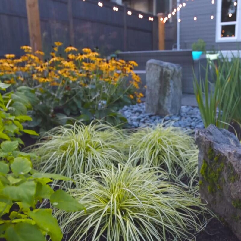 Garden Packages - Back or Front Yard (Soil amendments may be extra)