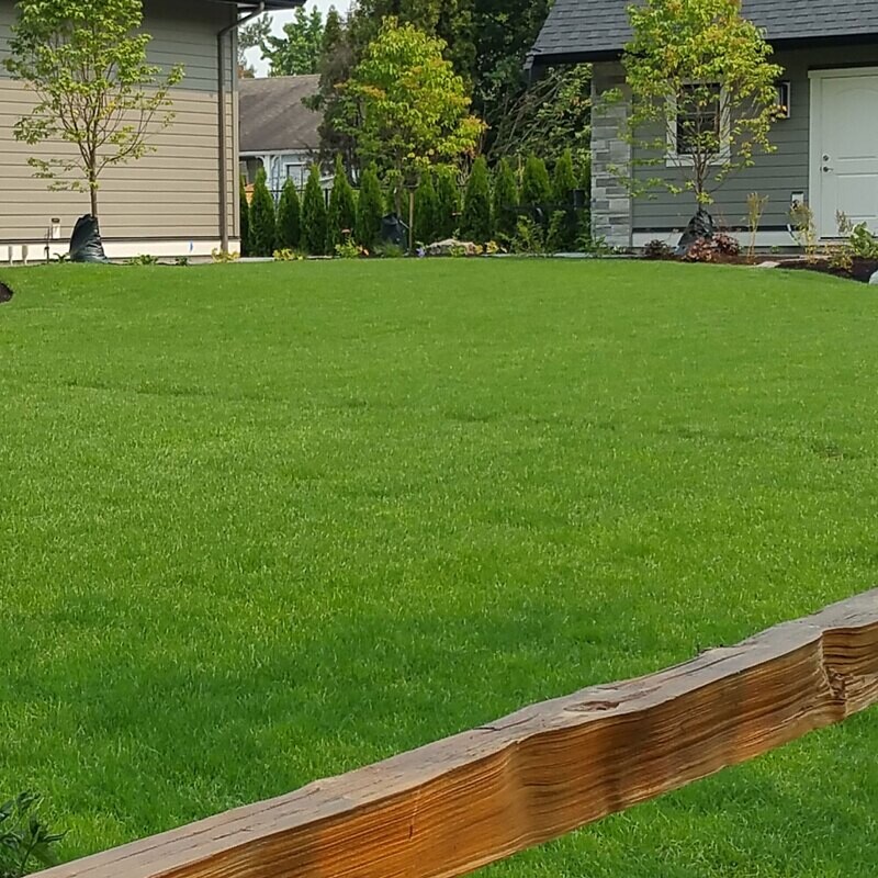 Grading & Sodding Packages