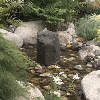 Water Feature Packages