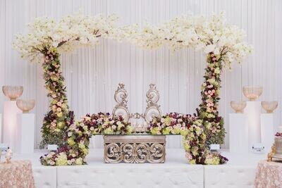 One Layered White Backdrop 24FT