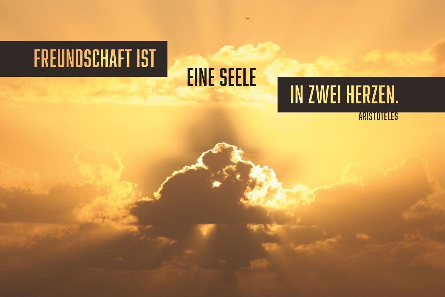 Motivmagnet - Acrylglas 