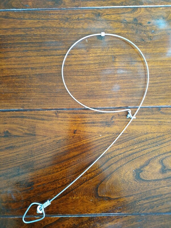 12 pack of Fox Snares