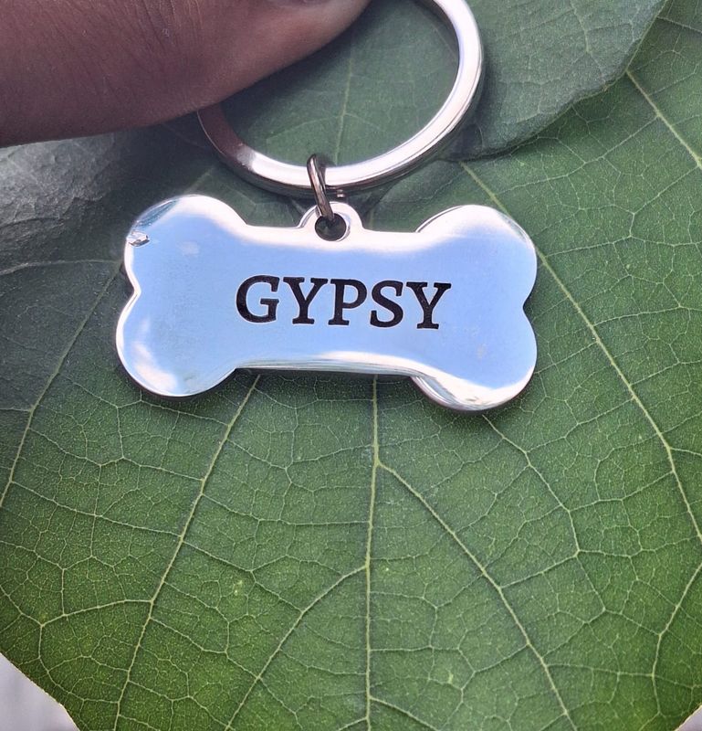 Pet ID Tags