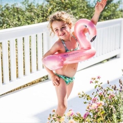 Swim Essentials - split ring flamingo