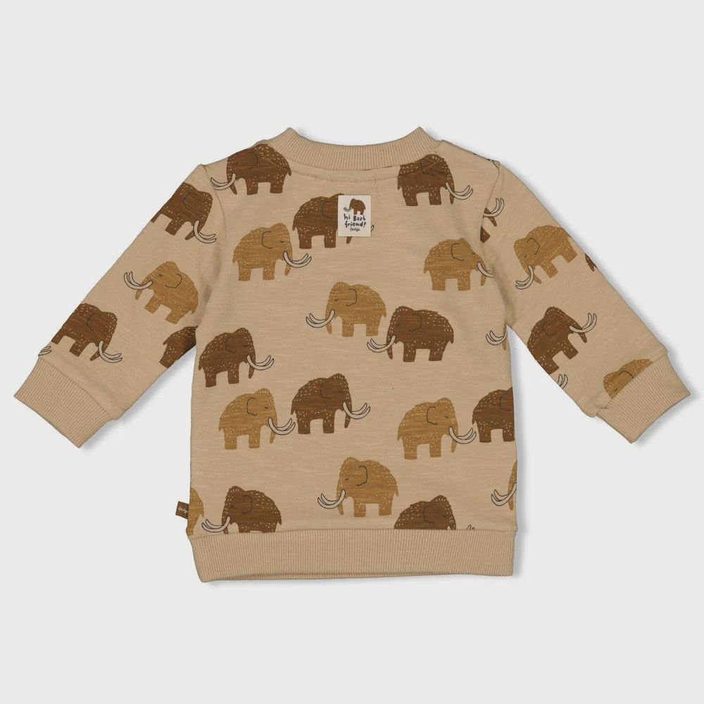 Sweater AOP - Best Friends
