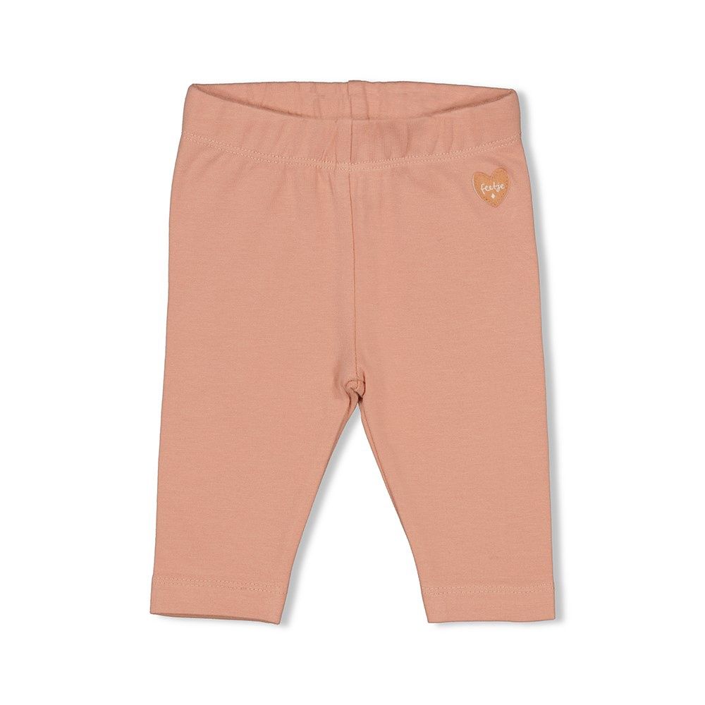 Feetje Legging - Little Rosebud Roze 52202191