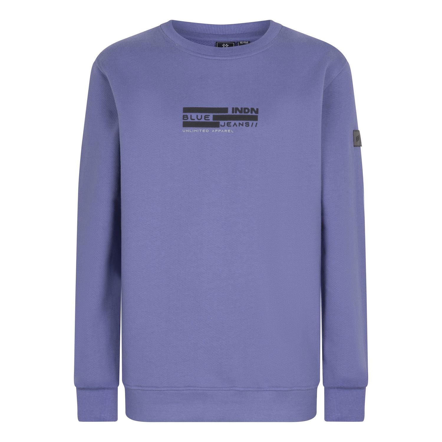 Indian Blue Jeans Sweater Purple 960058
