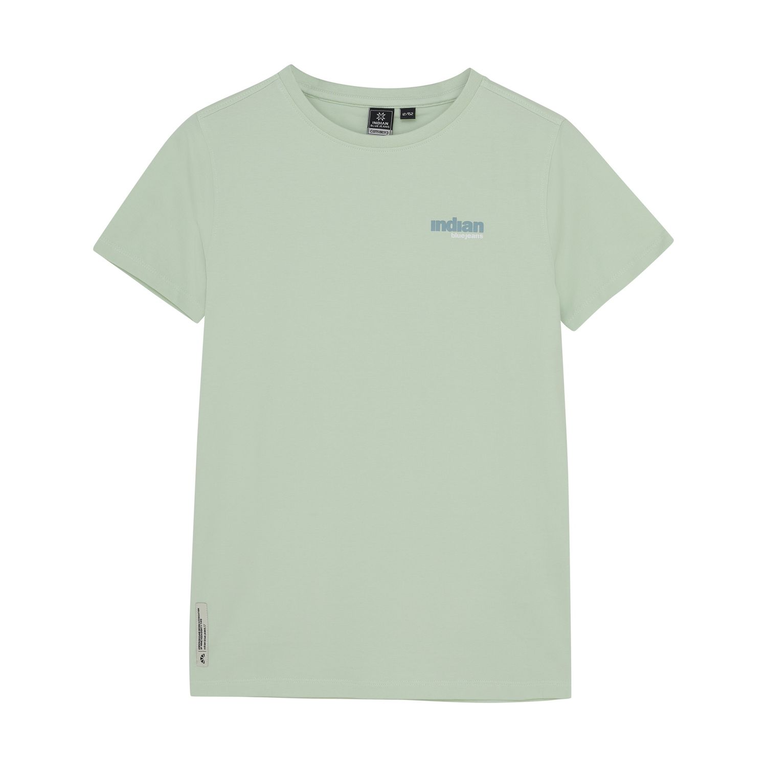Indian Blue Jeans T-Shirt Backprint Wave Fade Mint 960125