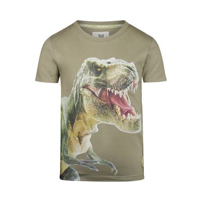 Koko Noko T-shirt ss Faded green P54836-37