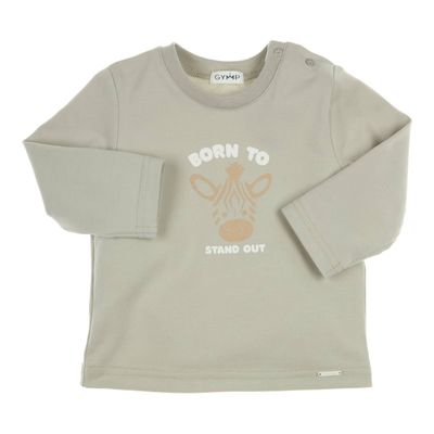 Gymp Longsleeve Aerodoux Pale Green 352-5638-20