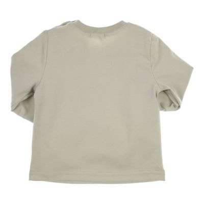 Gymp Longsleeve Aerodoux Pale Green 352-5638-20