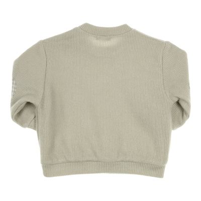 Gymp Sweater Renzo Pale Green 352-5660-20