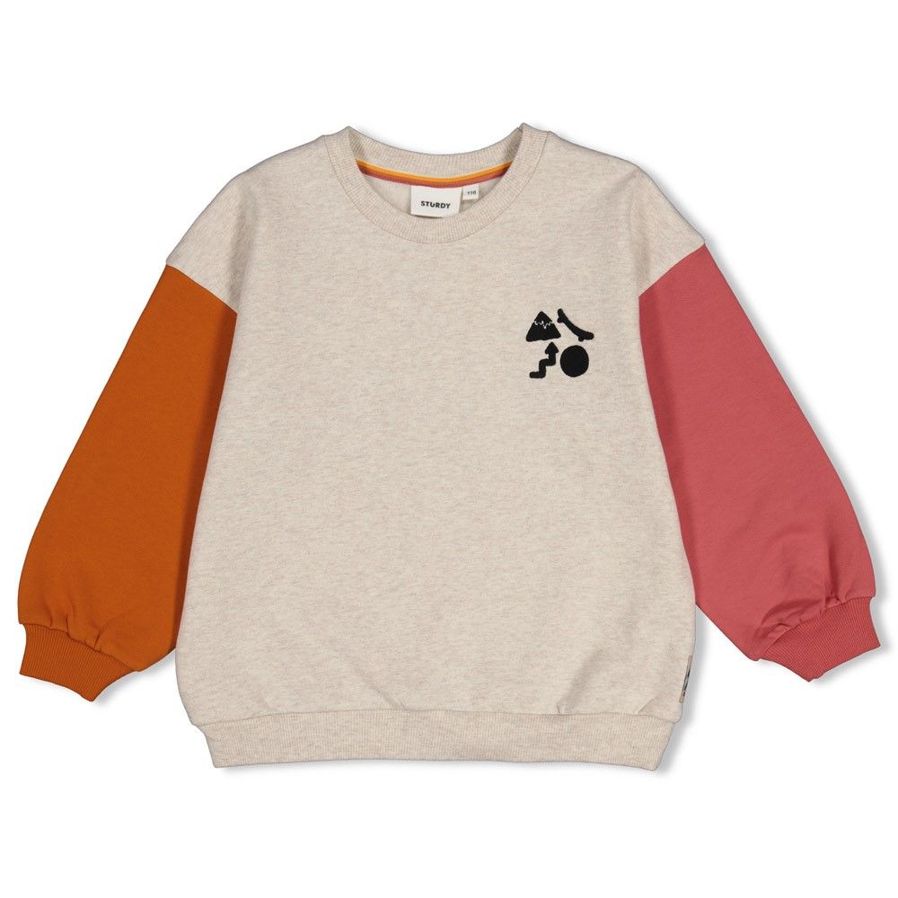 Sturdy Sweater met backprint oversized - Mountain top Wit