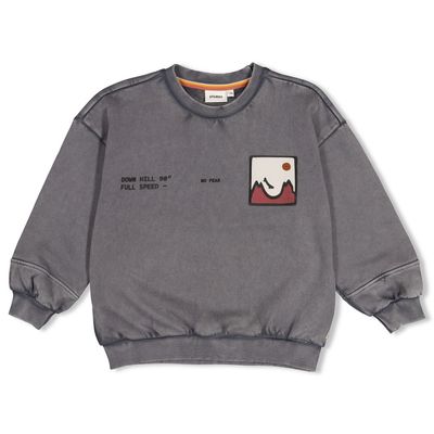 Sturdy Sweater met backprint oversized - Mountain top Grijs