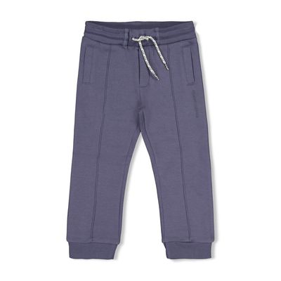 Sturdy Broek - Rock the Earth Blauw
