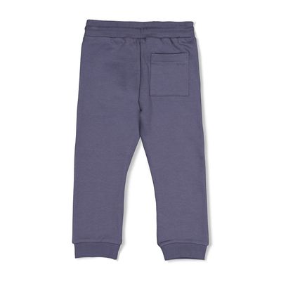 Sturdy Broek - Rock the Earth Blauw