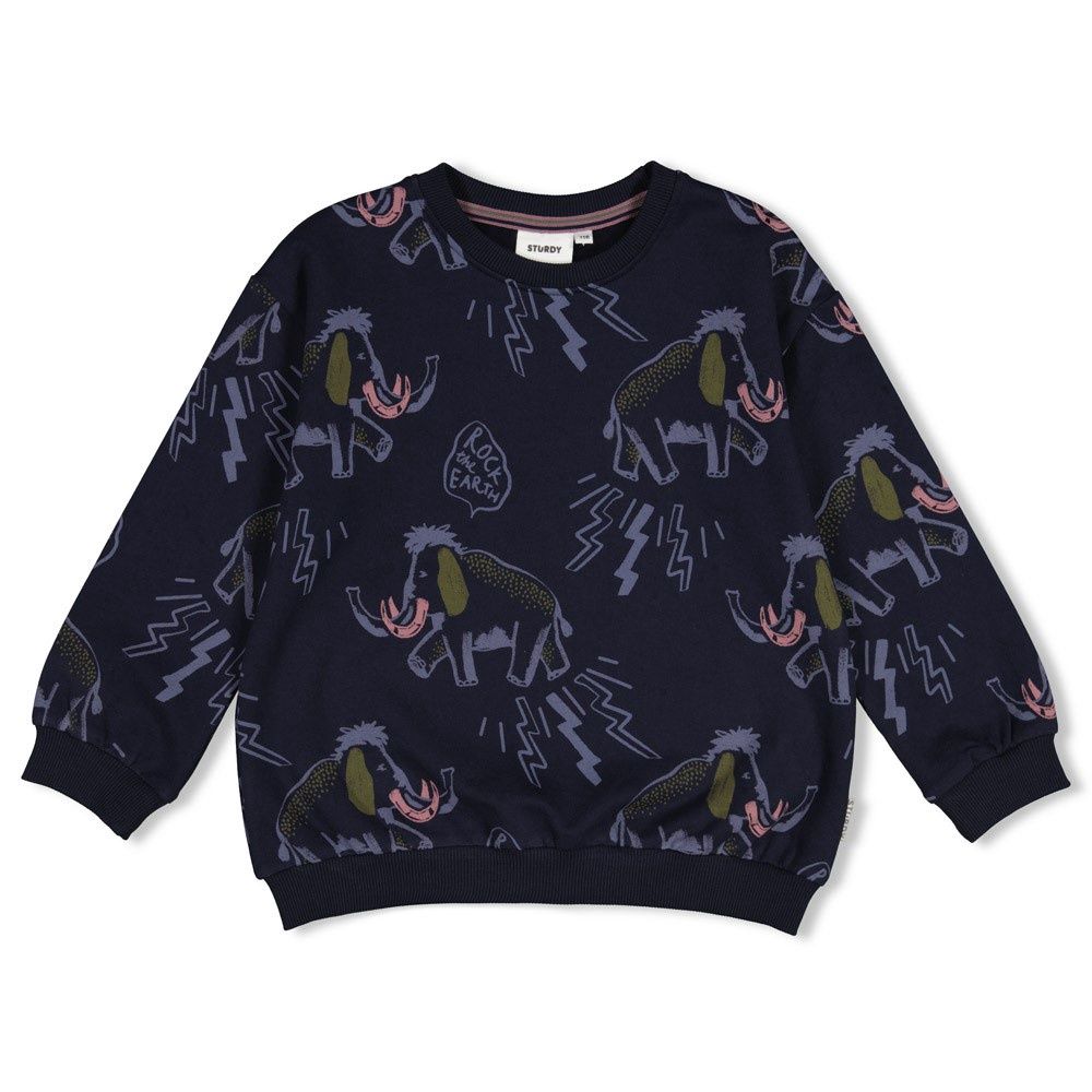 Sturdy Sweater AOP relaxed fit - Rock the Earth Blauw