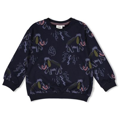 Sturdy Sweater AOP relaxed fit - Rock the Earth Blauw