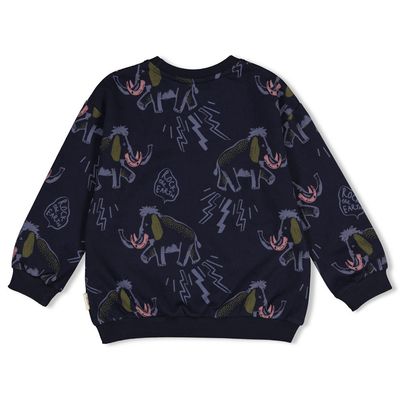 Sturdy Sweater AOP relaxed fit - Rock the Earth Blauw