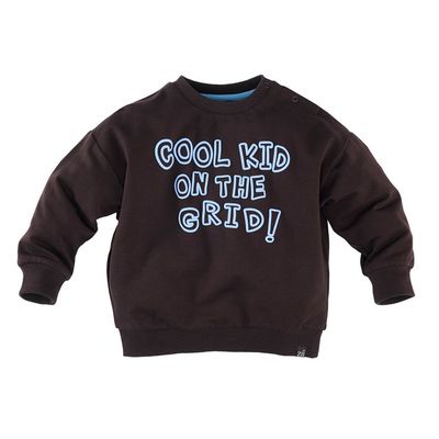 Z8 Mini Janoah Boys Sweaters Chocolate plum