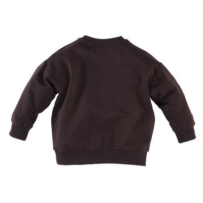 Z8 Mini Janoah Boys Sweaters Chocolate plum