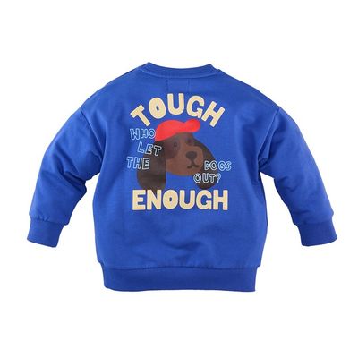 Z8 Mini Vinz Boys Sweaters Electric blue