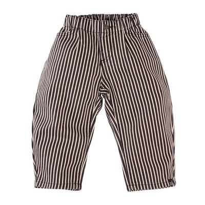 Z8 Mini Leandro Boys Broeken Chocolate plum