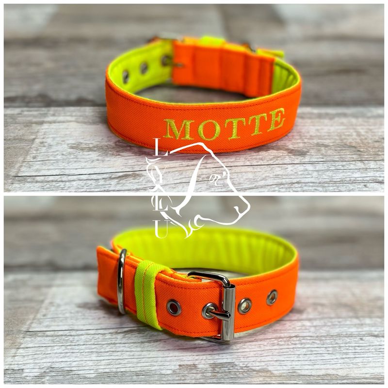 Halsband Motte