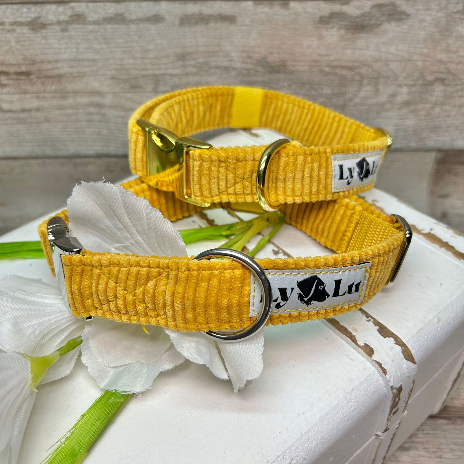 Vollstoffhalsband M Cord Senf