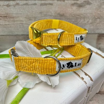 Vollstoffhalsband, Gr. M, Cord Senf
