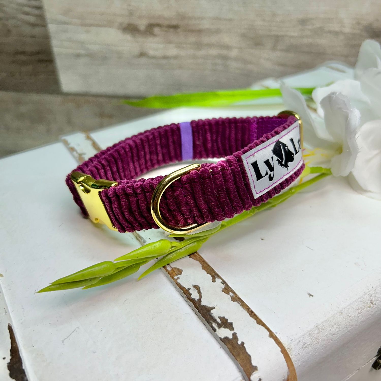 Vollstoffhalsband XS Gold