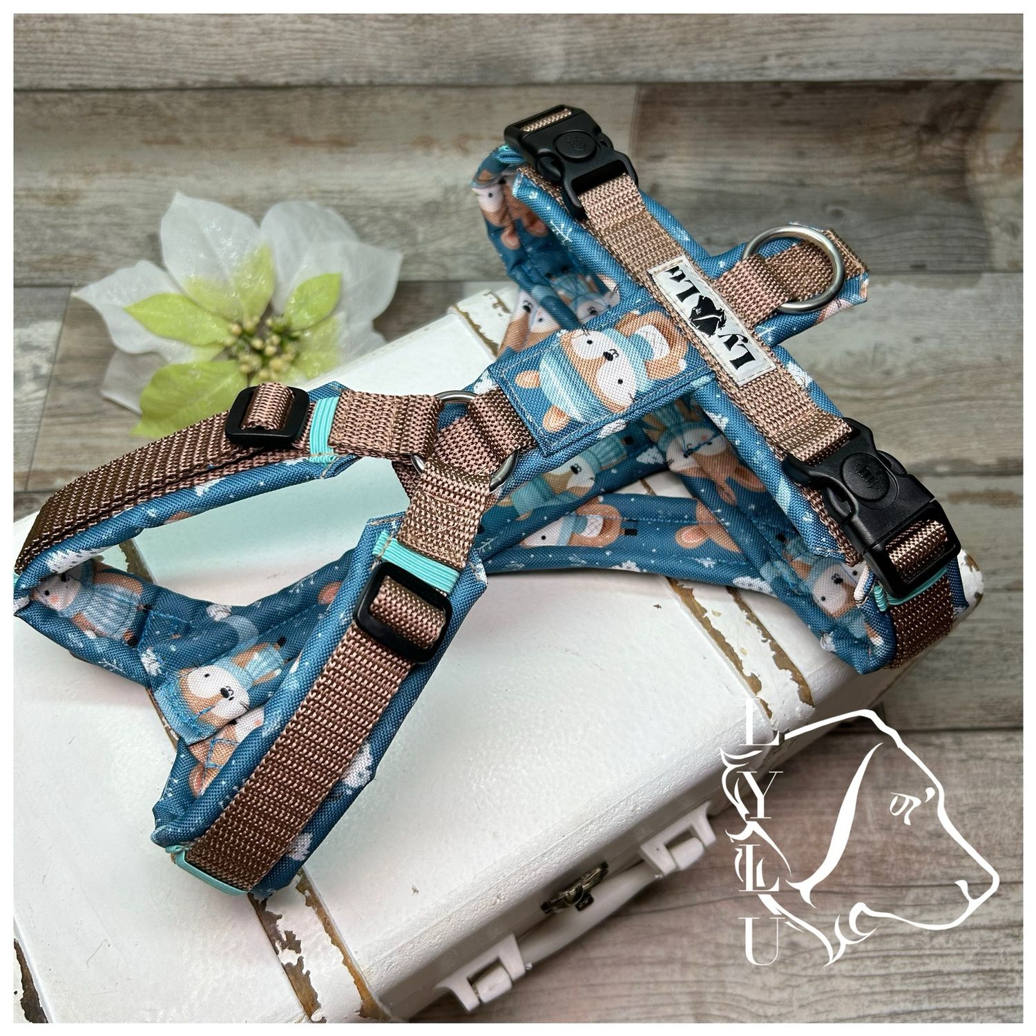 Basic Winter Animals Basic Winter Animals