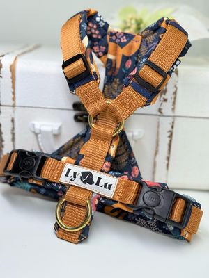 Hundegeschirr Basic, Gr. XS, Fuchs