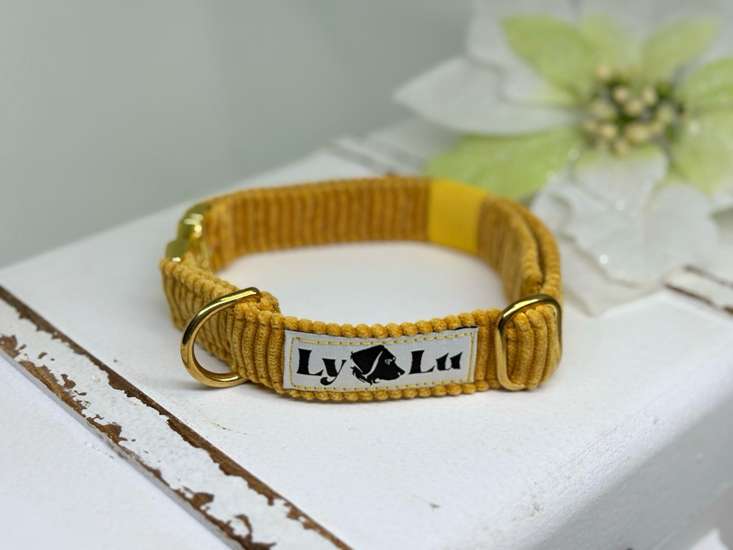 Vollstoffhalsband S Cord Senf