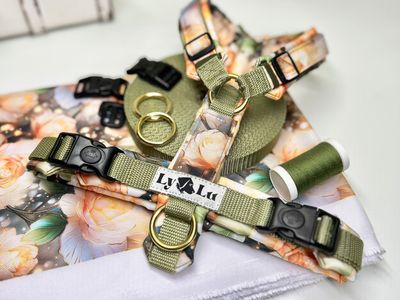 Personalisiertes Hundegeschirr & Zubehör