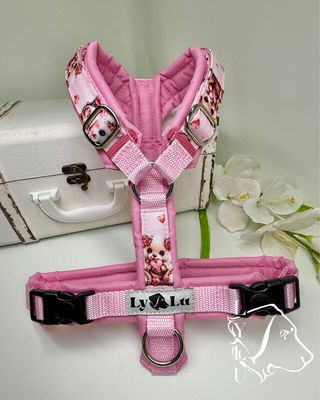 Hundegeschirr Premium, Gr. S, Teddy Girl Hundegeschirr Premium, Gr. S, Teddy Girl