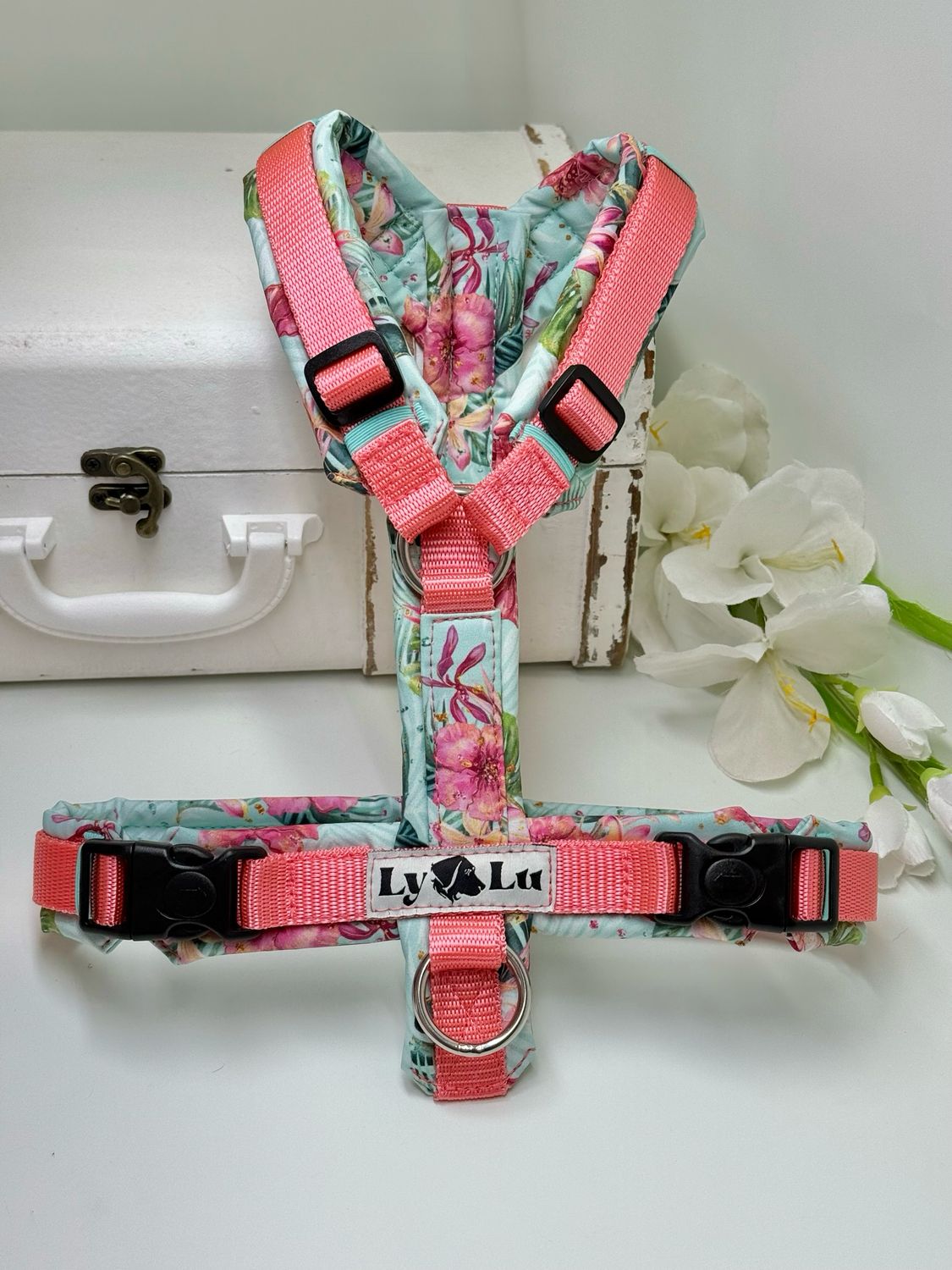 Hundegeschirr Basic, Gr. S, Tropic