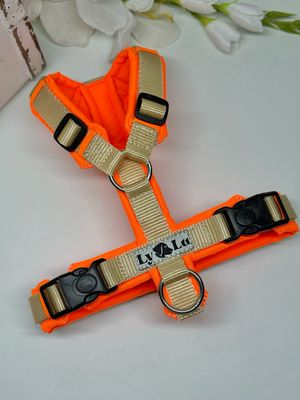 Hundegeschirr Basic, Gr. XS, Summer