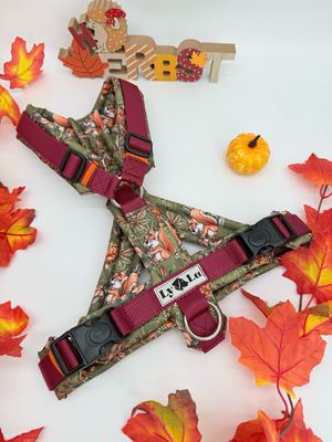 Hundegeschirr Basic Gr. M Eichhörnchen