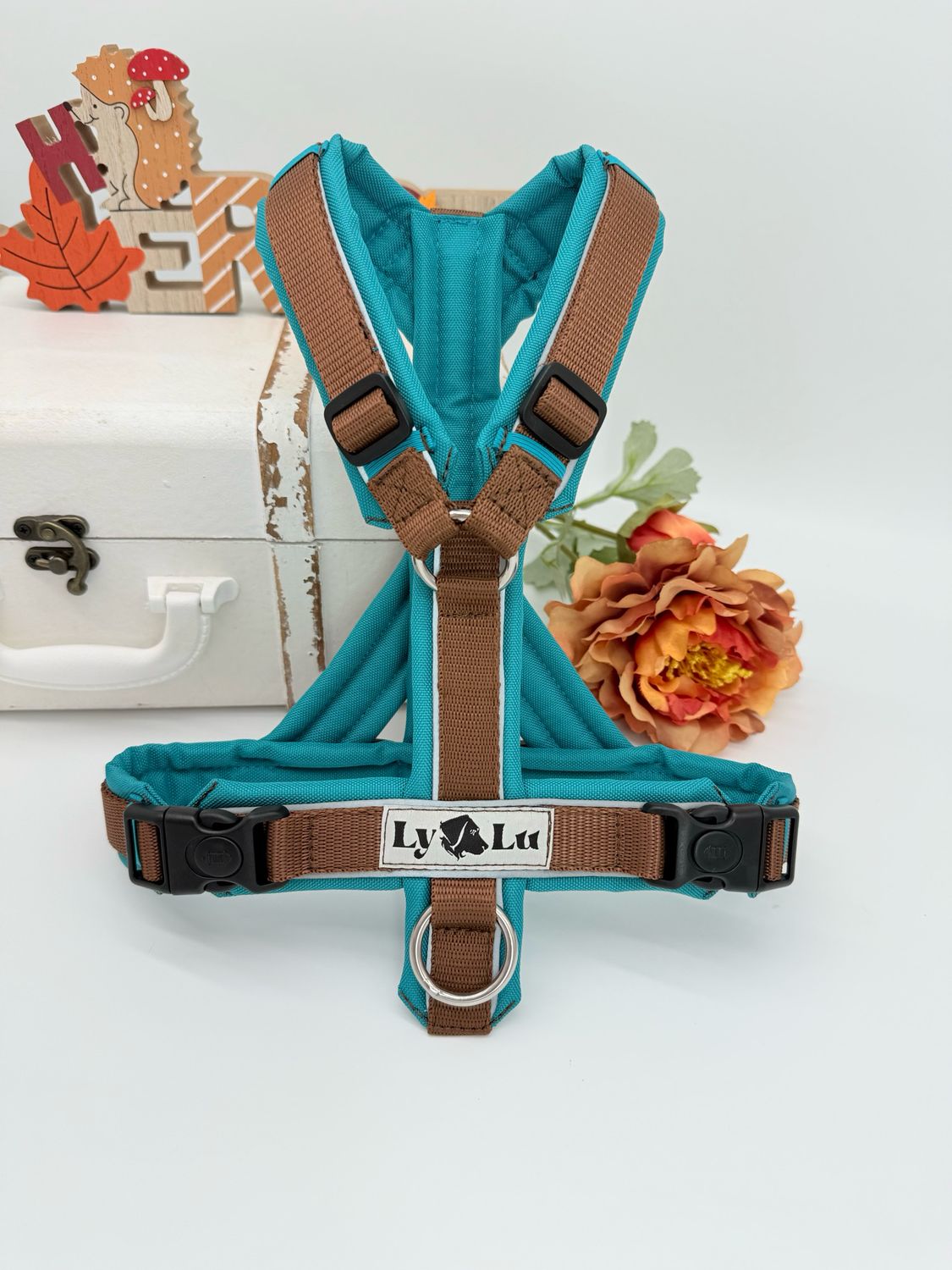 Hundegeschirr Basic Gr. S Nougat / Petrol