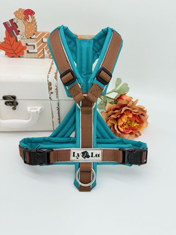Hundegeschirr Basic Nougat / Petrol