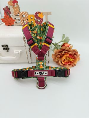 Hundegeschirr Basic Gr. XS Fox Hundegeschirr Basic Gr. XS Fox