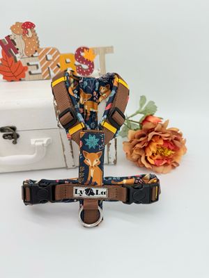 Hundegeschirr Basic Gr. XS Nougat / Fuchs Blau