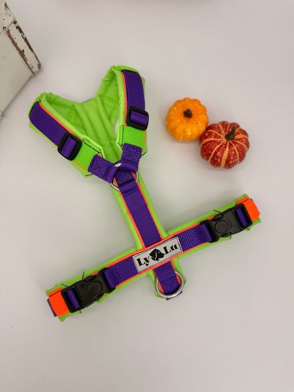 Hundegeschirr Basic Halloween
