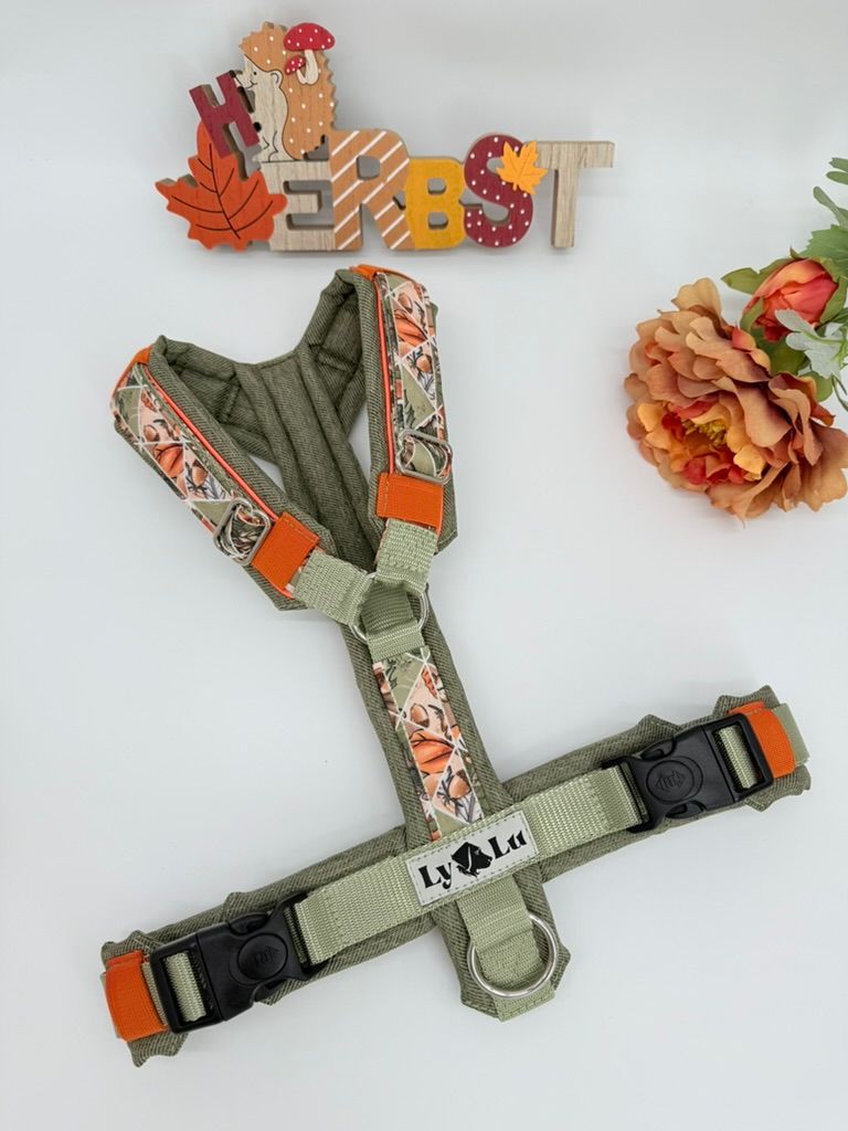 Hundegeschirr Premium